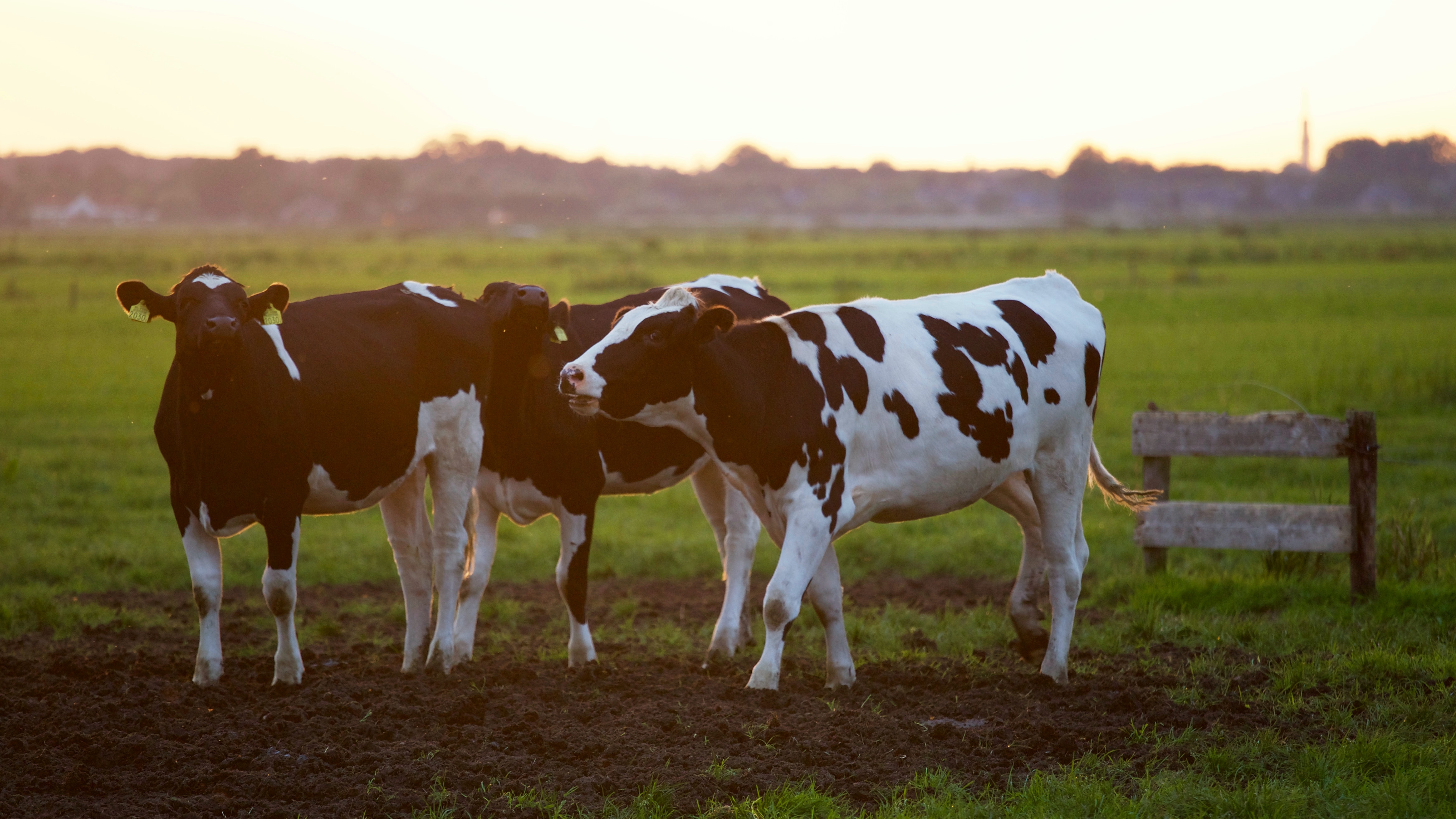 salon de l'agriculture 2023